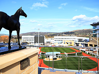 Cheltenham odds | Comprehensiv...